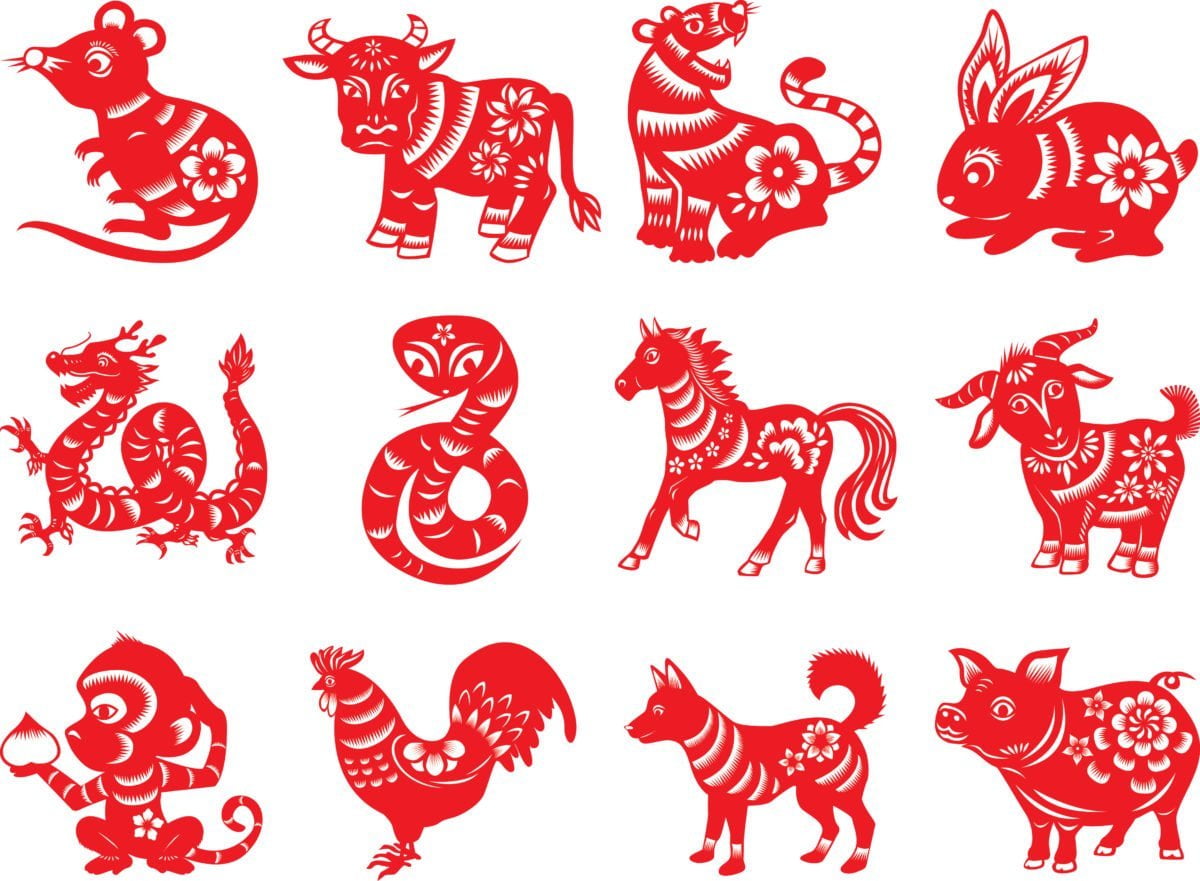 Chinese New Year 2018 - Year of the dog | Andiamo!