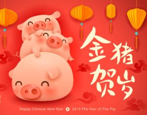 Year of the pig