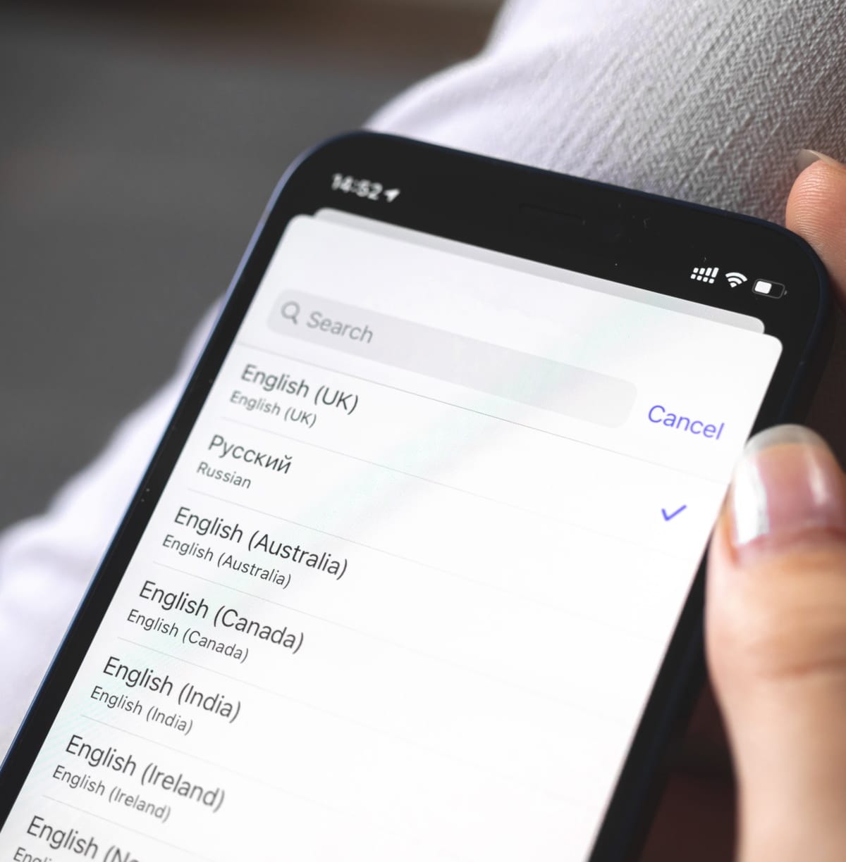 website translation services