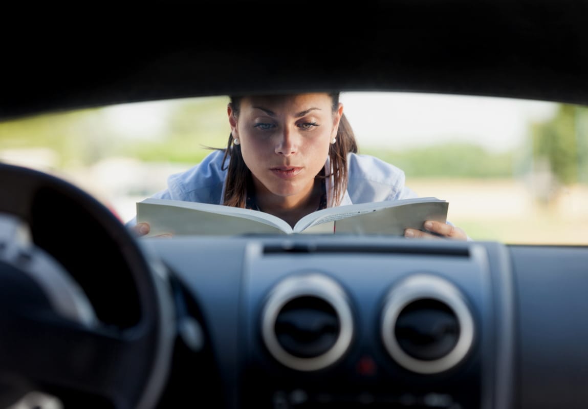 User guide translation services